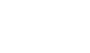 Arctic Wolf Logo