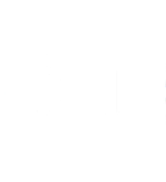 Arctic Wolf Partner Logo