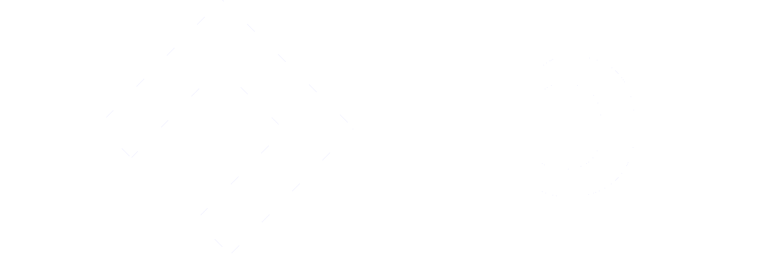 Arctic Wolf Partner Logo