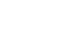 Arctic Wolf Partner Logo