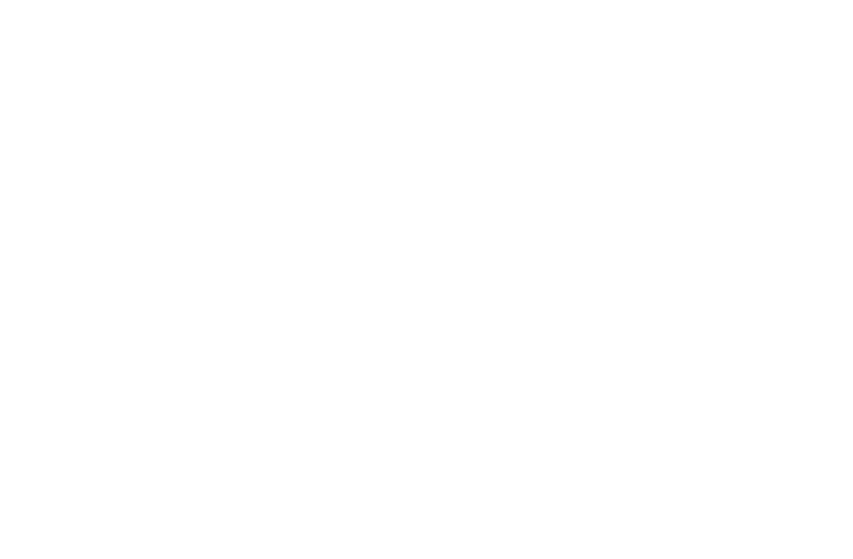 Arctic Wolf Partner Logo