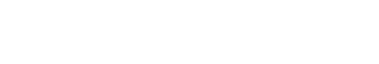 Arctic Wolf Partner Logo