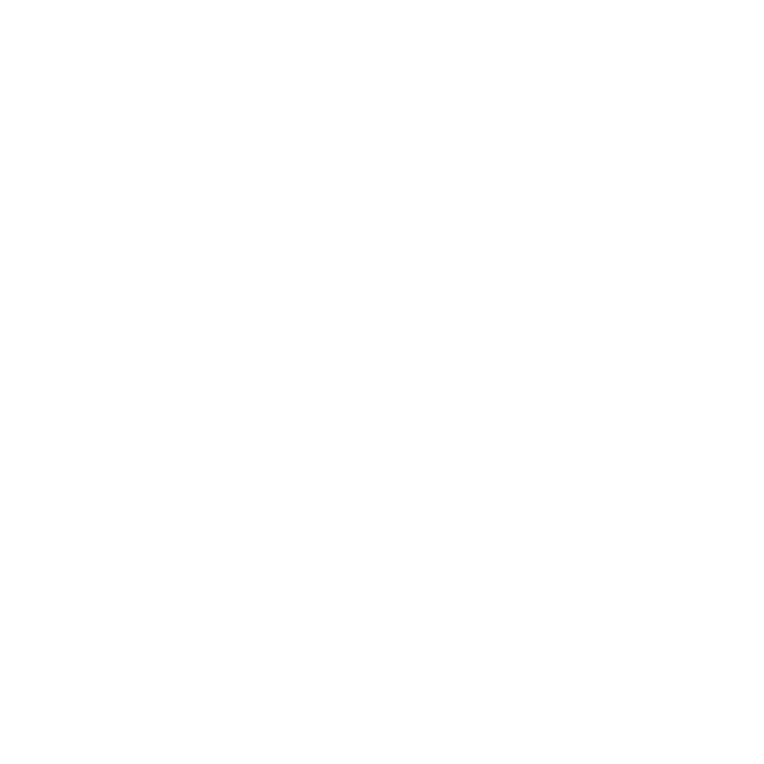 Arctic Wolf Partner Logo